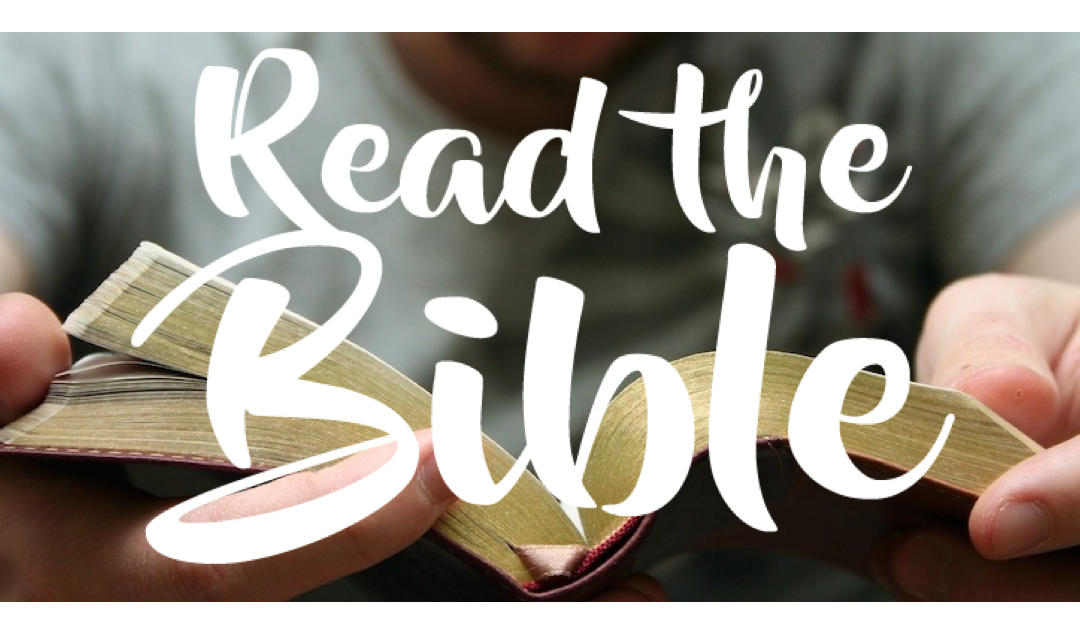 Pledge to Read Matthew or Your Entire Bible in 2023