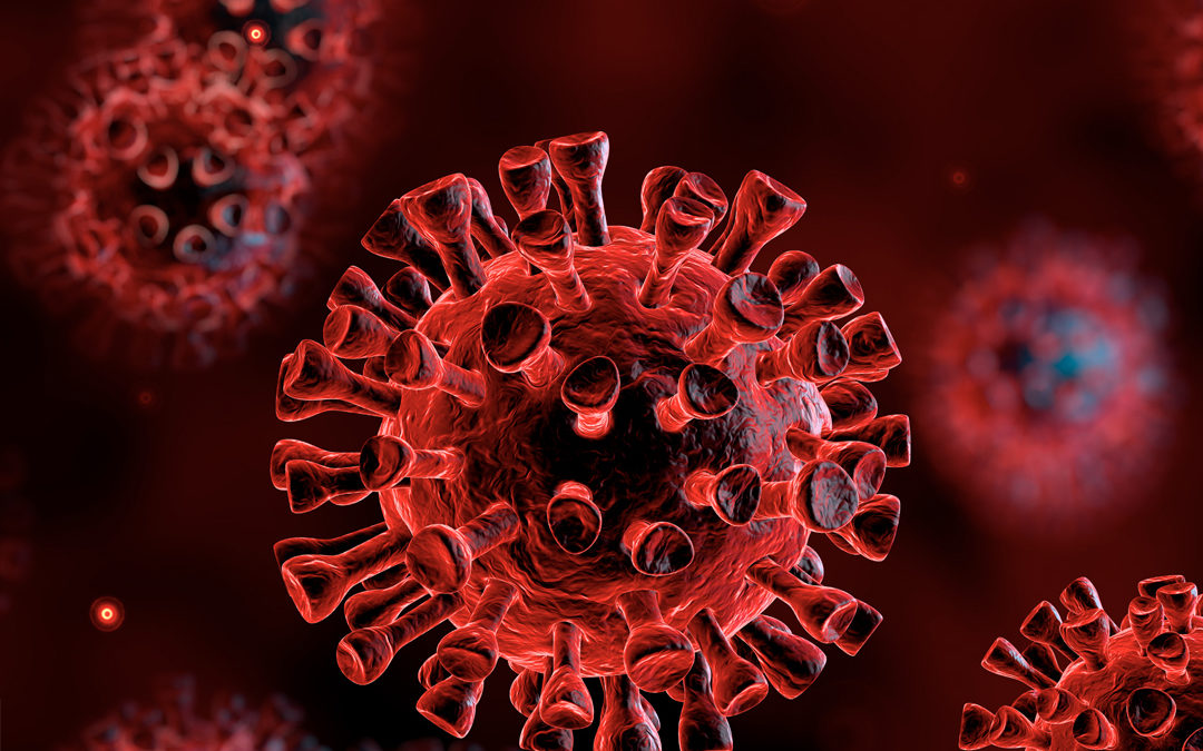 HBC Responds to COVID-19