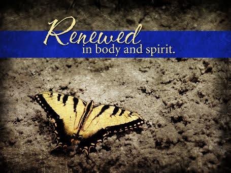 Musings from a Musician’s Perspective